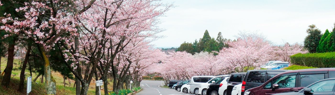 🤸 요카이치 스포츠랜드(욧카이치 스포-츠란도) 이미지 1